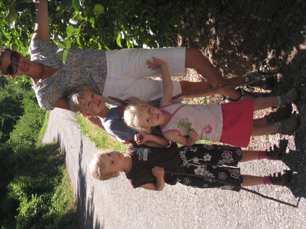 IMG-5334