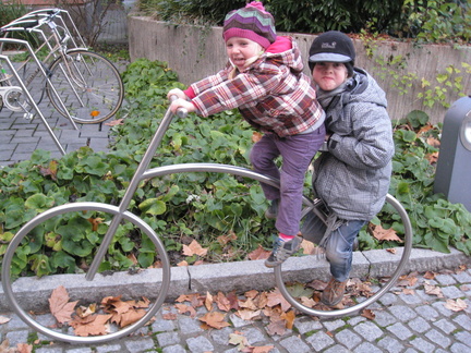 IMG-5561