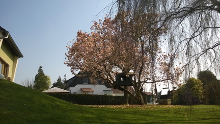 WP-20140330-14-21-15-Pro