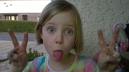 WP-20140330-17-28-51-Pro