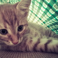 Camera360-2015-6-11-023547