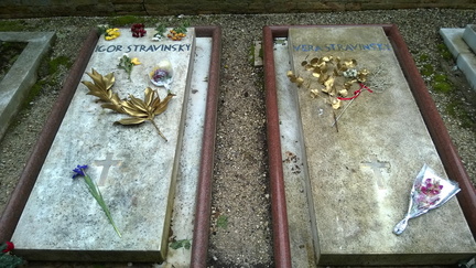 WP-20150130-13-19-52-Pro