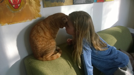 WP-20160323-17-29-43-Pro