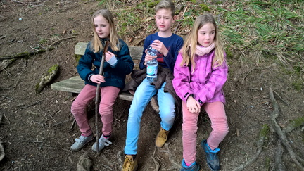 WP-20160330-12-19-11-Pro