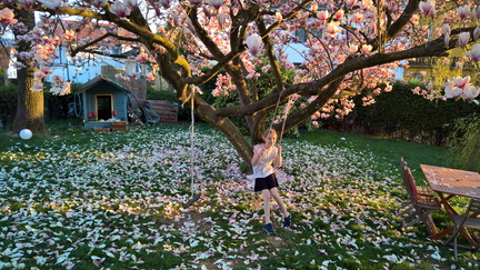 WP-20170403-19-22-08-Pro