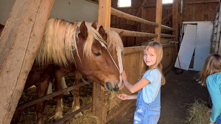 WP-20170409-17-05-36-Rich