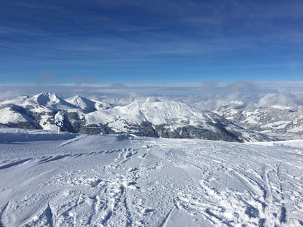 20190111-115522025-iOS