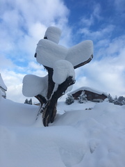 20190111-083411038-iOS