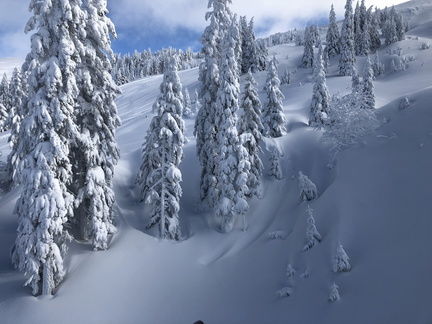 20190111-100719642-iOS