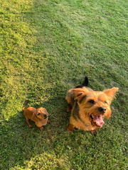 20210611 175621000 iOS