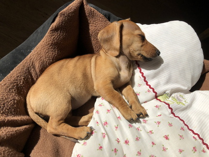 20210503 075008597 iOS