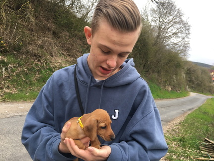 20210410 120910542 iOS