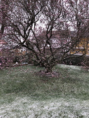 20210407 083522329 iOS