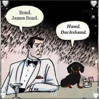 20220404 045441000 iOS