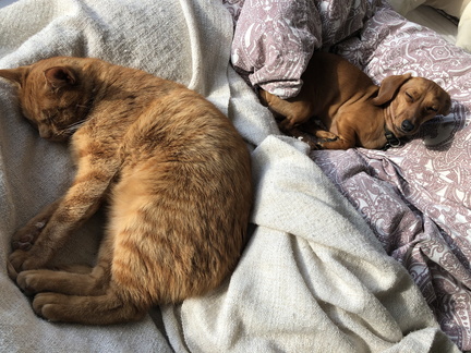 20230130 110224867 iOS