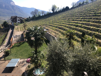 20230406 132850410 iOS